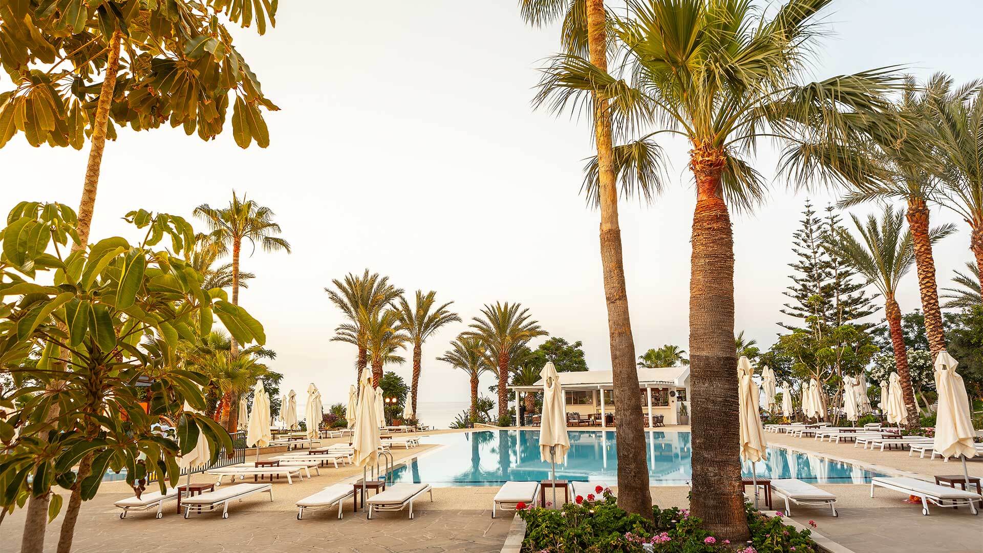 Gallery Crystal Springs